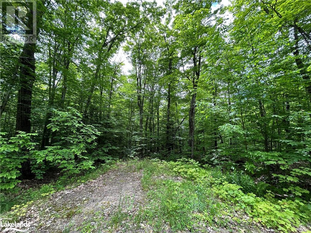 1104 Starratt Road, Burk's Falls, Ontario  P0A 1C0 - Photo 11 - 40598858