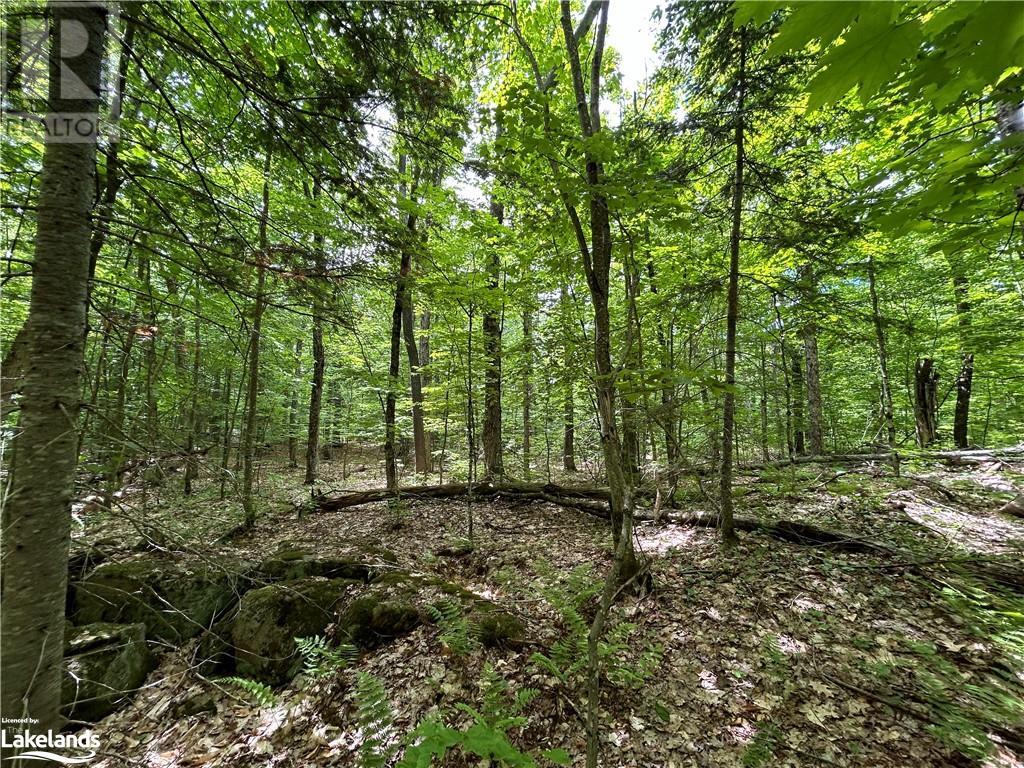 1104 Starratt Road, Burk's Falls, Ontario  P0A 1C0 - Photo 13 - 40598858