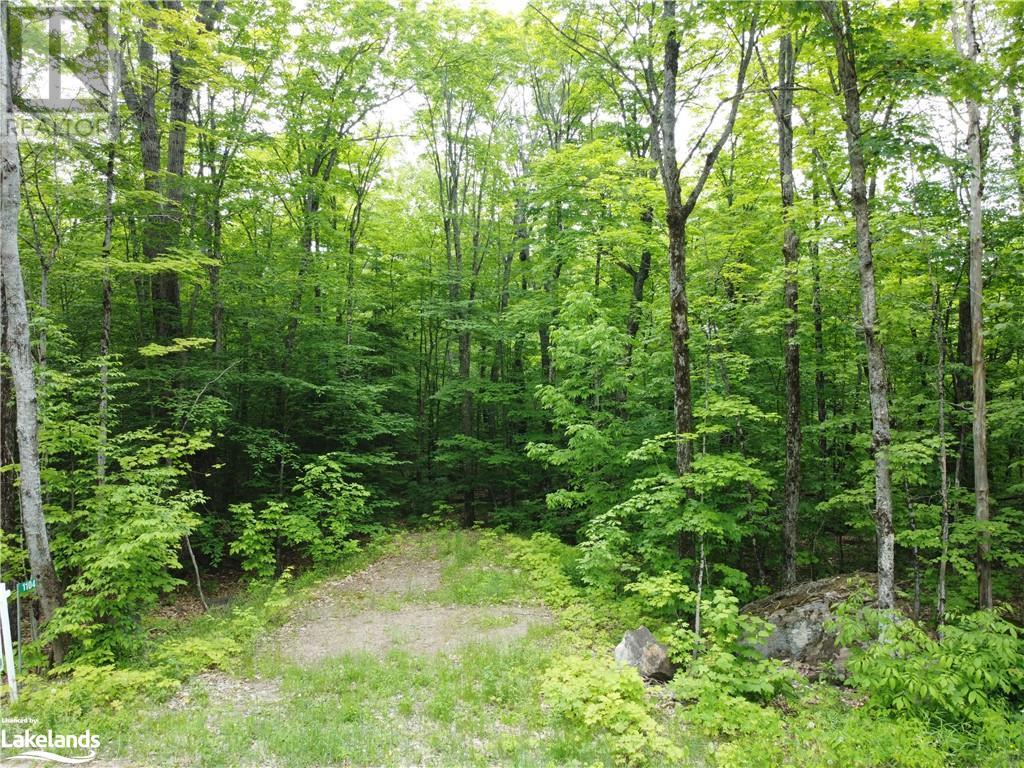 1104 Starratt Road, Burk's Falls, Ontario  P0A 1C0 - Photo 6 - 40598858