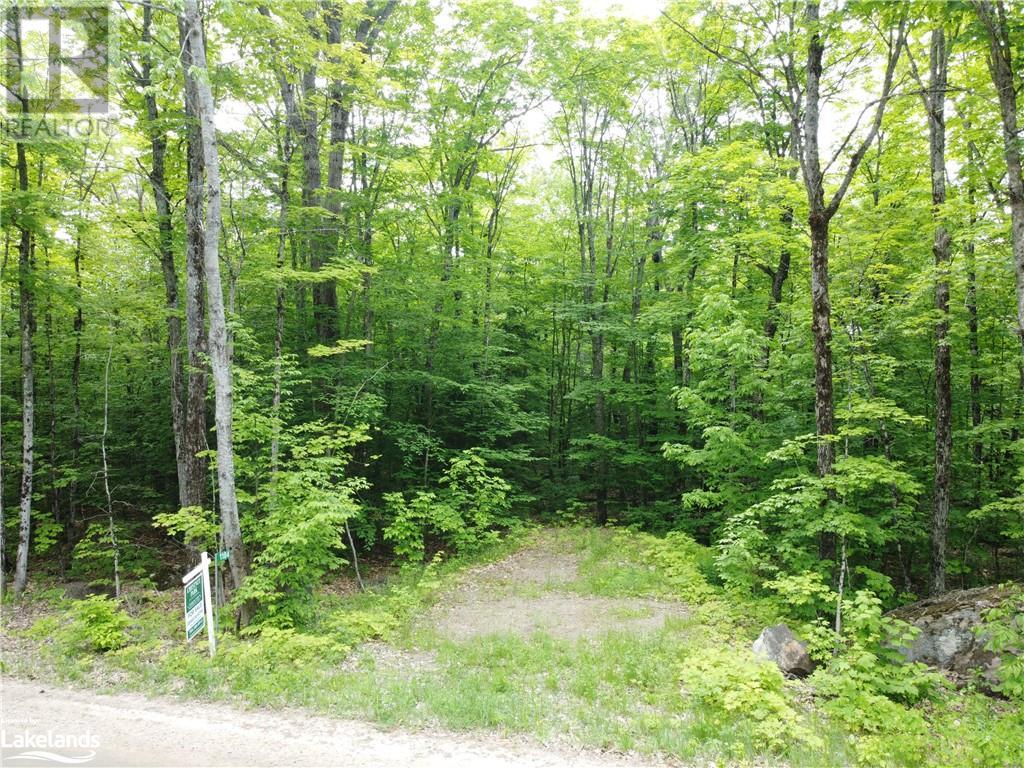 1104 Starratt Road, Burk's Falls, Ontario  P0A 1C0 - Photo 7 - 40598858