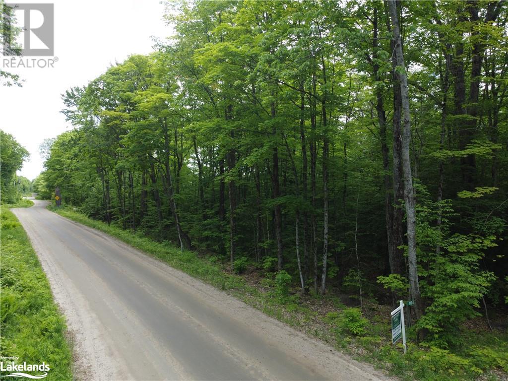1104 Starratt Road, Burk's Falls, Ontario  P0A 1C0 - Photo 8 - 40598858