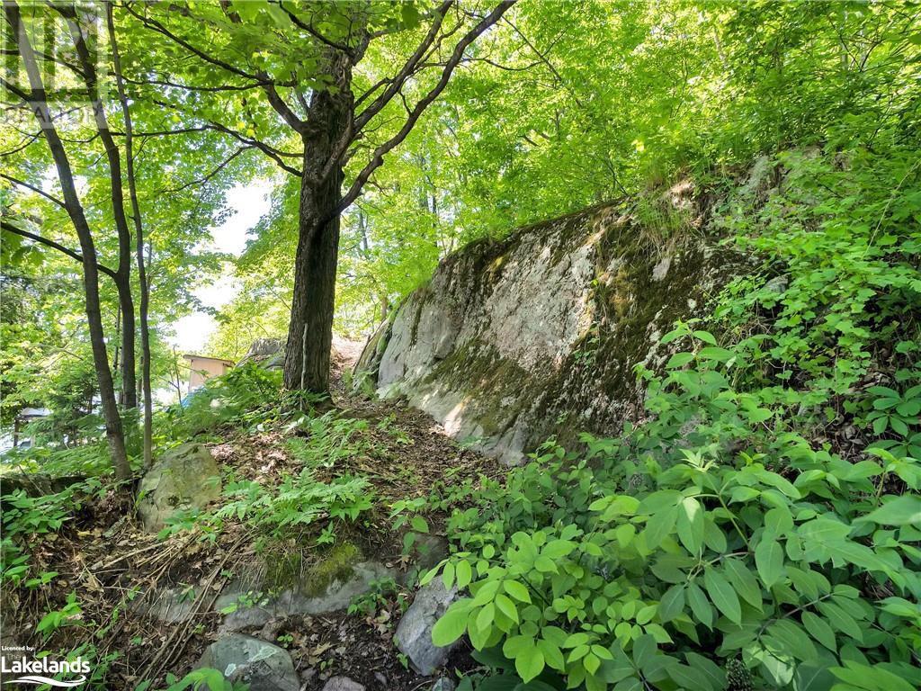 1054 Deewood Drive Unit# 5, Utterson, Ontario  P0B 1M0 - Photo 43 - 40599629