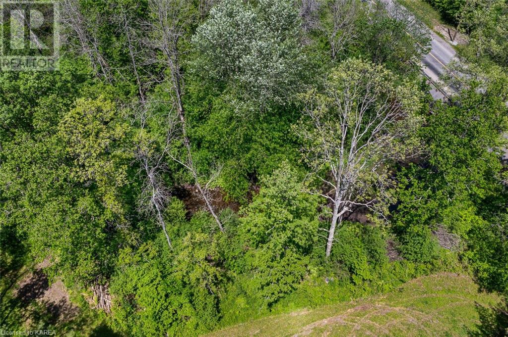 Lot 0, County Road 27 N/a, Stone Mills, Ontario  K0K 1Z0 - Photo 16 - 40597983