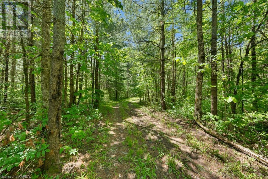 Lot 0, County Road 27 N/a, Stone Mills, Ontario  K0K 1Z0 - Photo 32 - 40597983