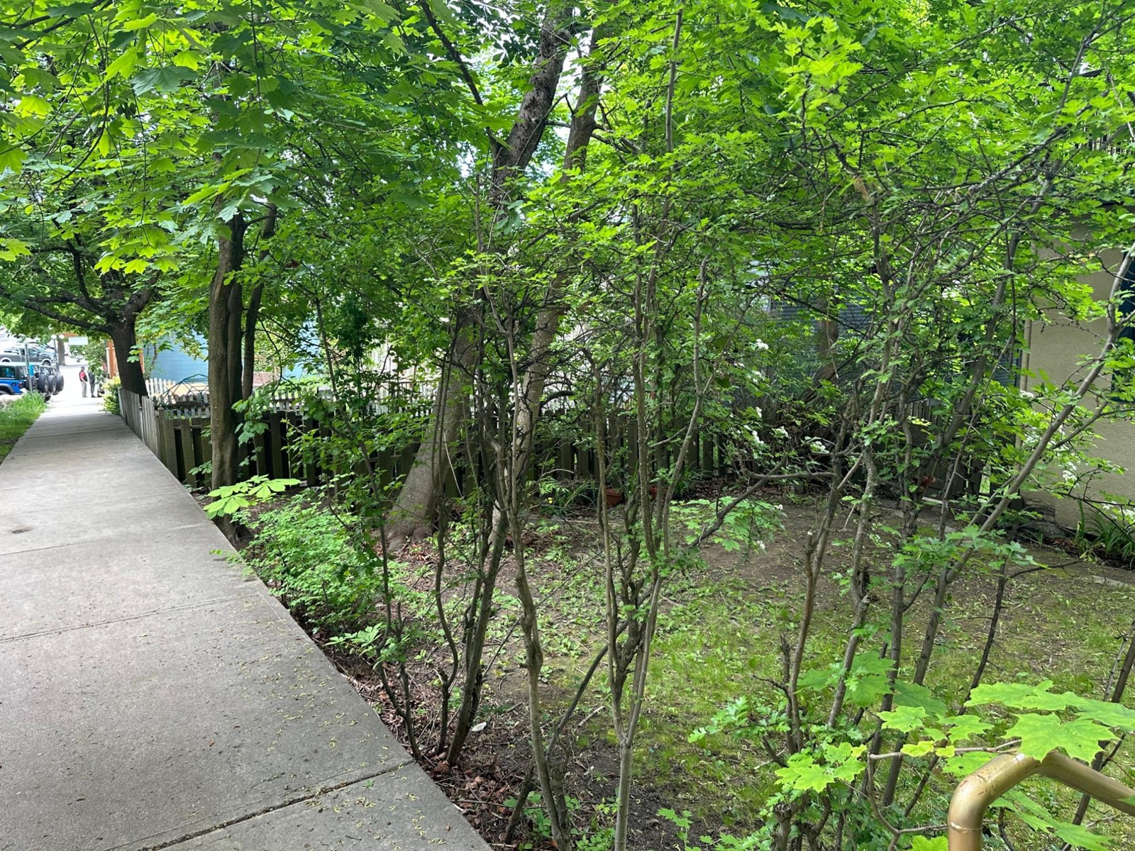 815 BAKER STREET, nelson, British Columbia