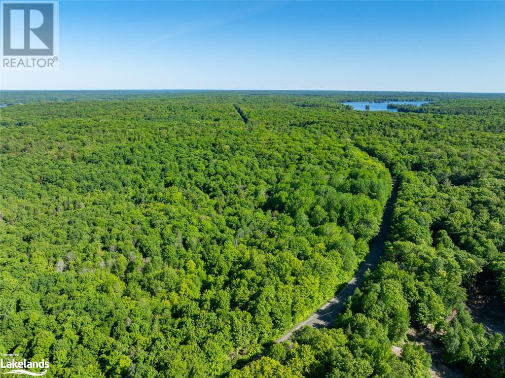 187b Star Lake Road, Seguin, Ontario  P0C 1J0 - Photo 16 - 40594400
