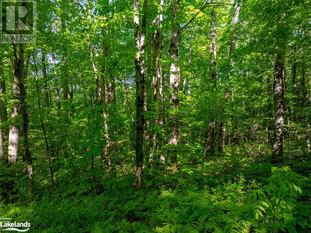 187b Star Lake Road, Seguin, Ontario  P0C 1J0 - Photo 7 - 40594400