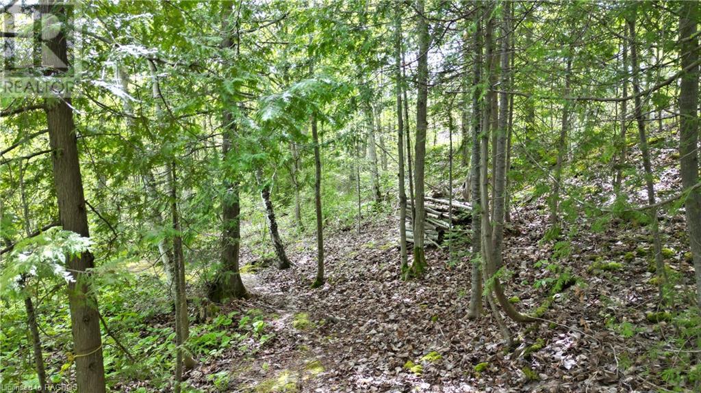 17 Shoreline Drive, Miller Lake, Ontario  N0H 1Z0 - Photo 39 - 40598905