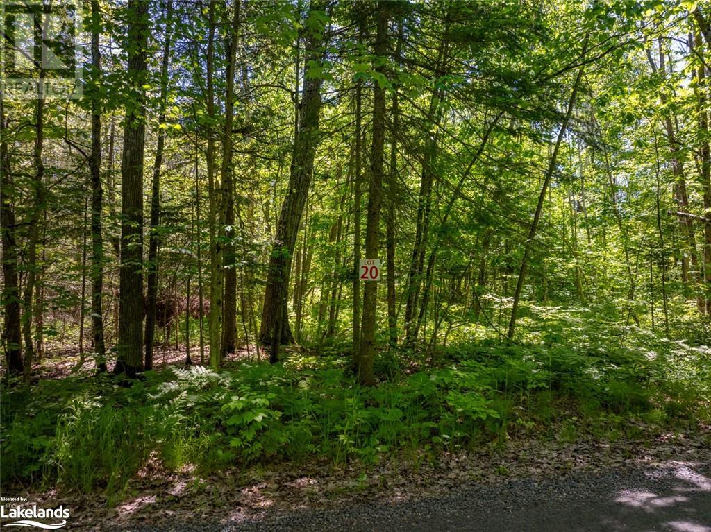 40 Inverlochy Road Unit# 20, Carling, Ontario  P0G 1G0 - Photo 23 - 40582461