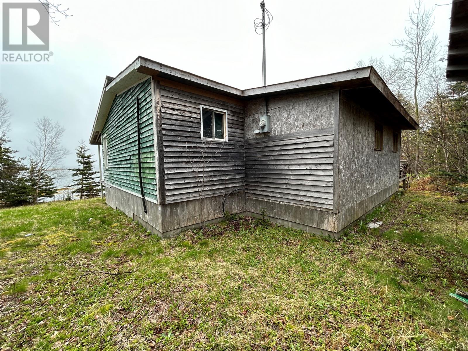 51 Birchy Point Road, Campbellton, Newfoundland & Labrador  A0G 1L0 - Photo 15 - 1273012