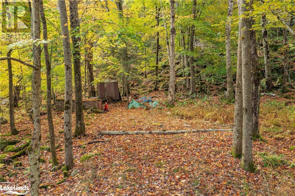 122 Rowanwood Lane, Huntsville, Ontario  P0B 1M0 - Photo 14 - 40599035