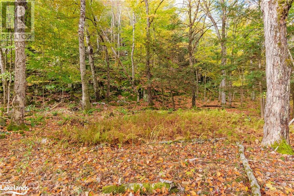 122 Rowanwood Lane, Huntsville, Ontario  P0B 1M0 - Photo 15 - 40599035
