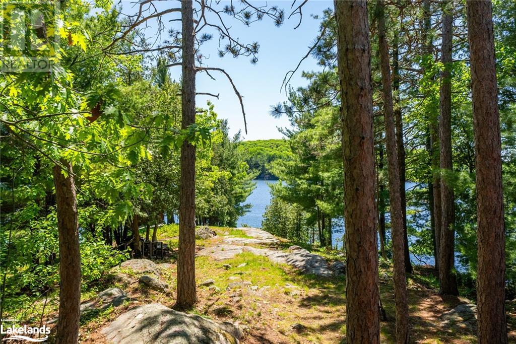 11120 St. Margarets Island, Algonquin Highlands, Ontario  P0A 1E0 - Photo 37 - 40591249