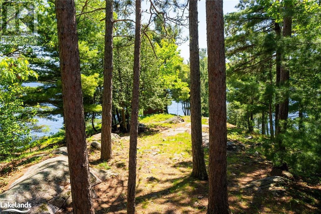 11120 St. Margarets Island, Algonquin Highlands, Ontario  P0A 1E0 - Photo 45 - 40591249