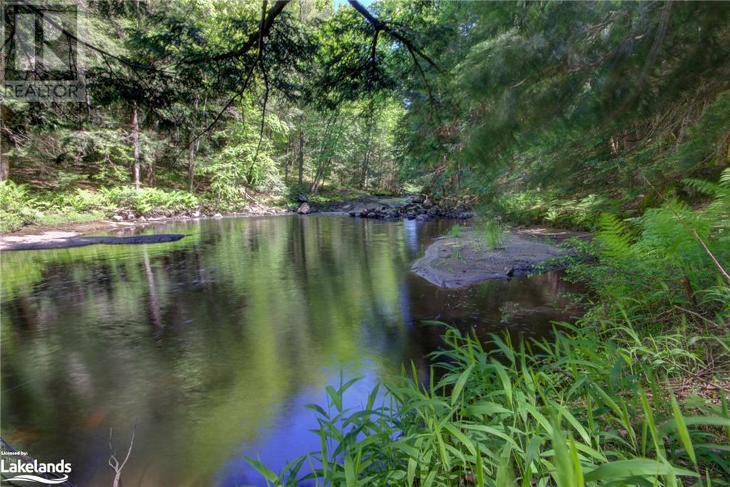 570 Jones Road, Gravenhurst, Ontario  P1P 1A1 - Photo 31 - 40596738