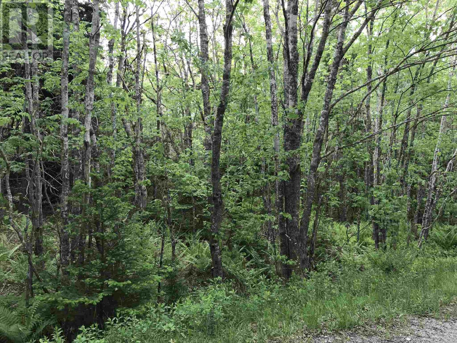 53.03 Acres Highway 308 Highway, belleville, Nova Scotia