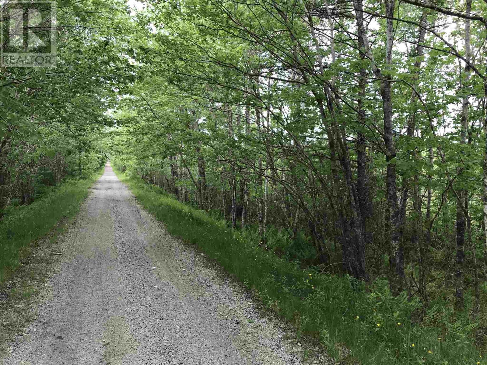 53.03 Acres Highway 308 Highway, Belleville, Nova Scotia  B0W 3M0 - Photo 2 - 202114782