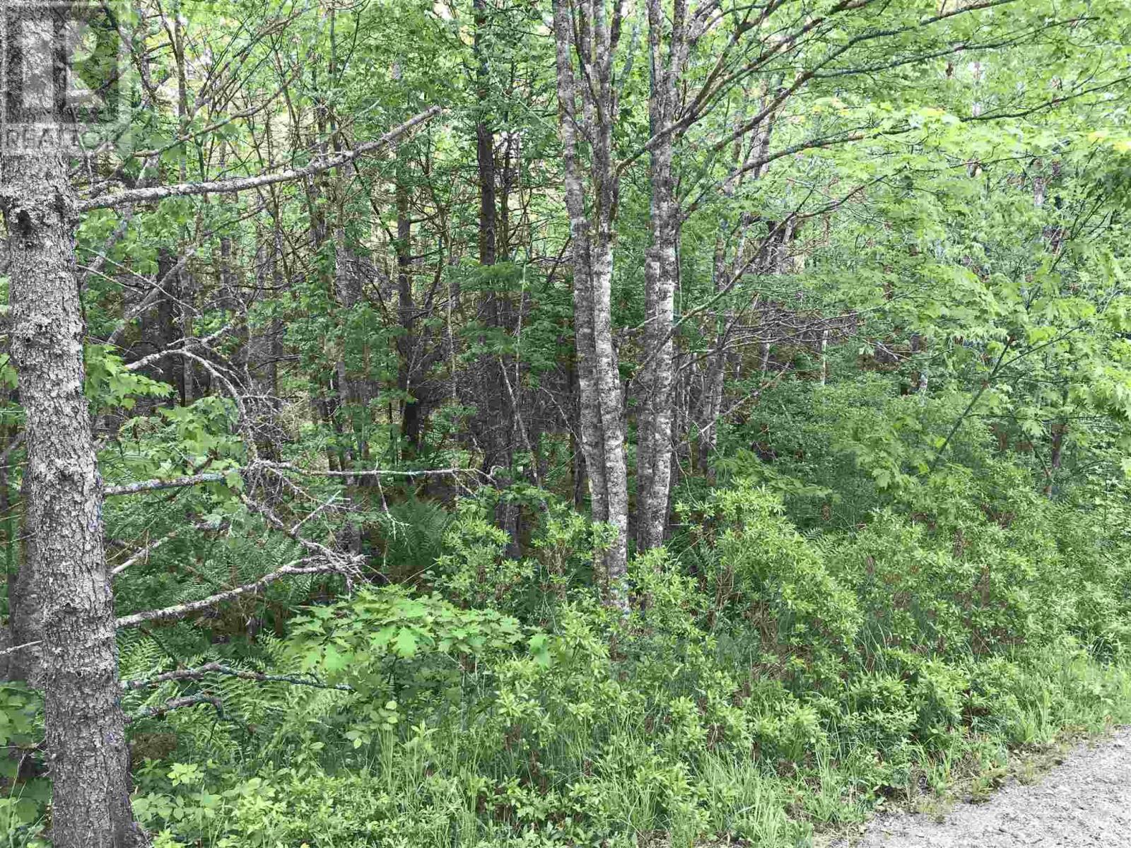 53.03 Acres Highway 308 Highway, Belleville, Nova Scotia  B0W 3M0 - Photo 3 - 202114782