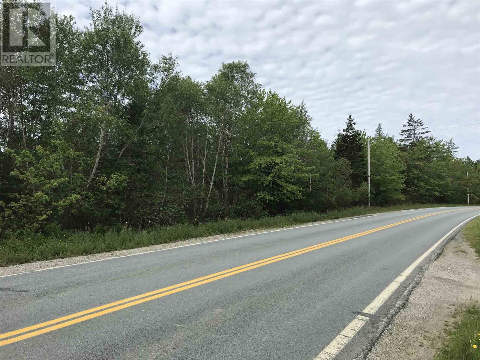 53.03 Acres Highway 308 Highway, Belleville, Nova Scotia  B0W 3M0 - Photo 9 - 202114782