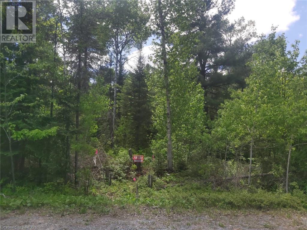 N/a Nepewassi Lake Road, Markstay-Warren, Ontario  P0M 2G0 - Photo 2 - 40600059