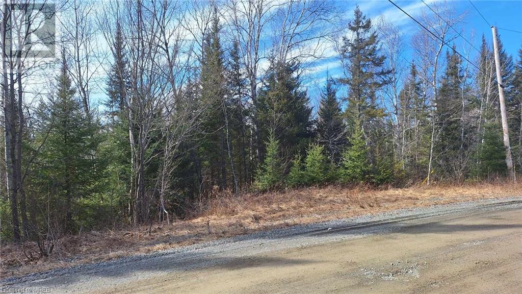 N/a Nepewassi Lake Road, Markstay-Warren, Ontario  P0M 2G0 - Photo 5 - 40600059