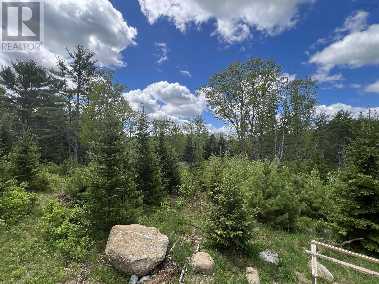 Lot (Pid 60476678) Mailman Road, Baker Settlement, Nova Scotia  B4V 7H6 - Photo 23 - 202412665