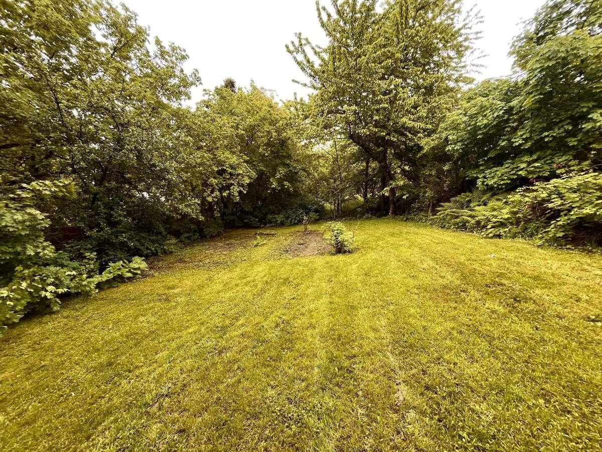 95 High Street, Nelson, British Columbia  V1L 3Z5 - Photo 14 - 2477458