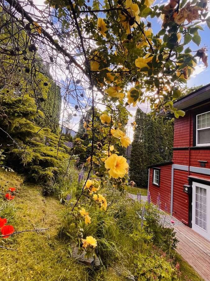 95 High Street, Nelson, British Columbia  V1L 3Z5 - Photo 7 - 2477458