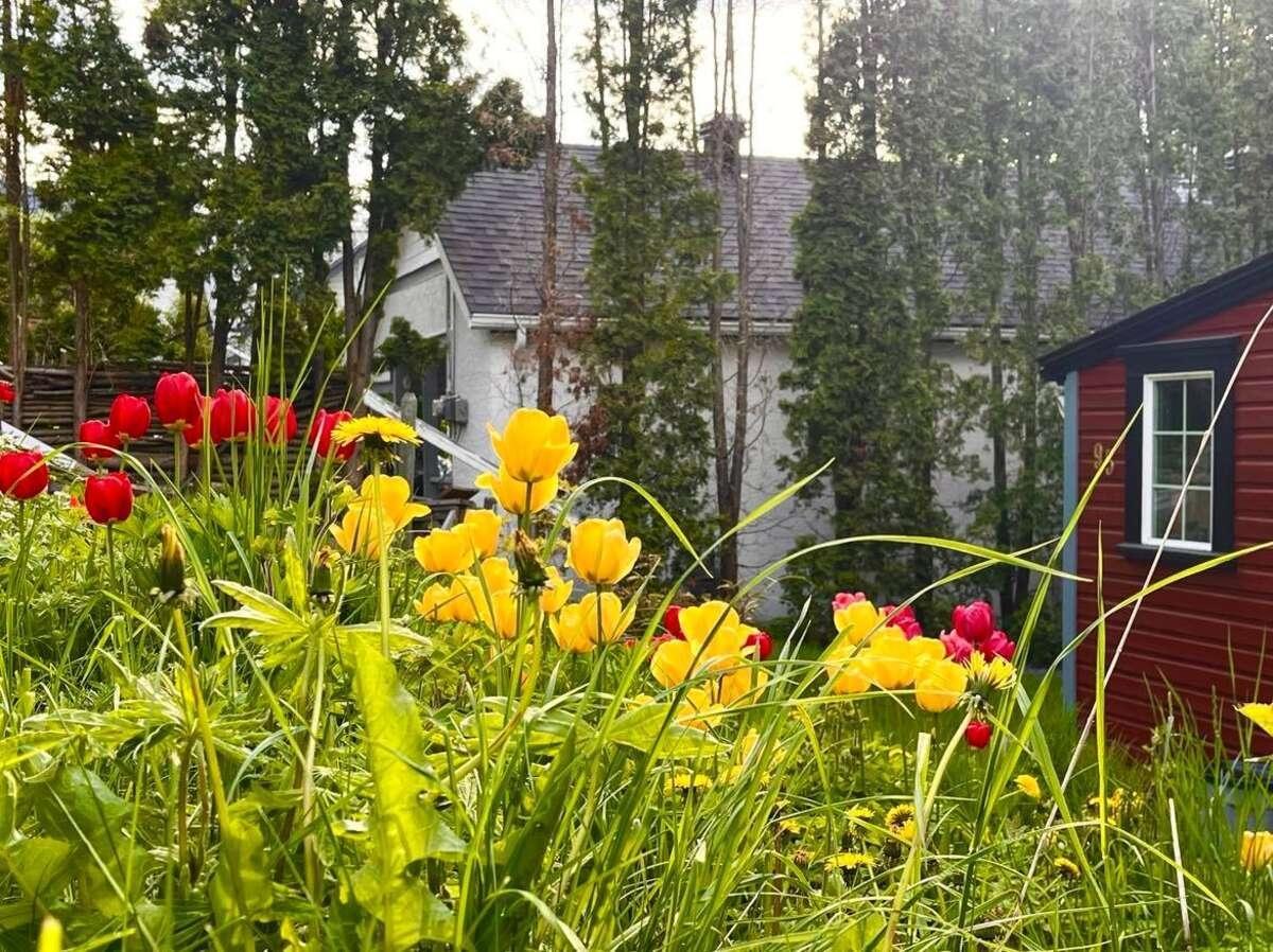 95 High Street, Nelson, British Columbia  V1L 3Z5 - Photo 9 - 2477458