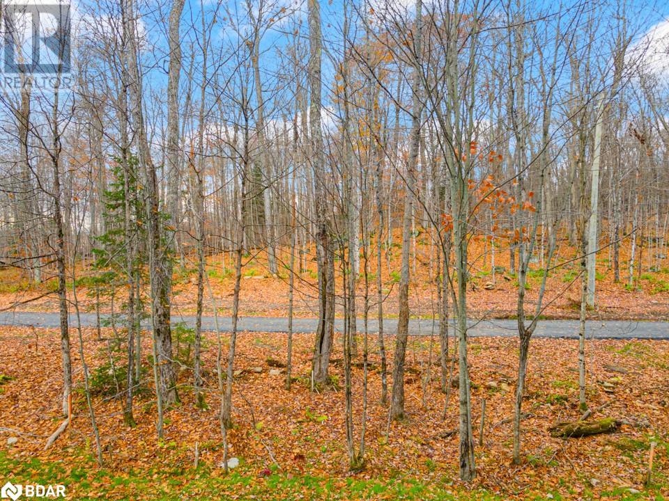 18 Campus Trail Unit# 107, Huntsville, Ontario  P1H 1C6 - Photo 29 - 40600612