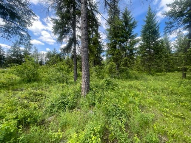 Lot 16 Caitlin Road, Christina Lake, British Columbia  V0H 1E0 - Photo 10 - 2477474