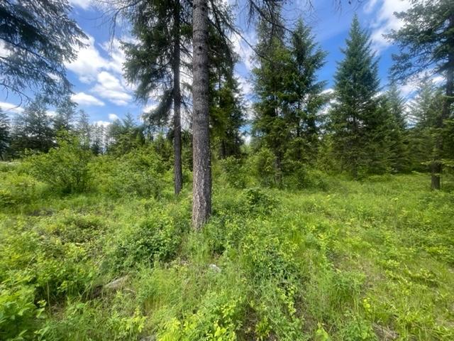 Lot 16 Caitlin Road, Christina Lake, British Columbia  V0H 1E0 - Photo 3 - 2477474