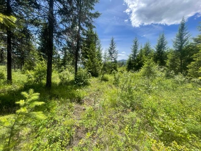 Lot 16 Caitlin Road, Christina Lake, British Columbia  V0H 1E0 - Photo 4 - 2477474