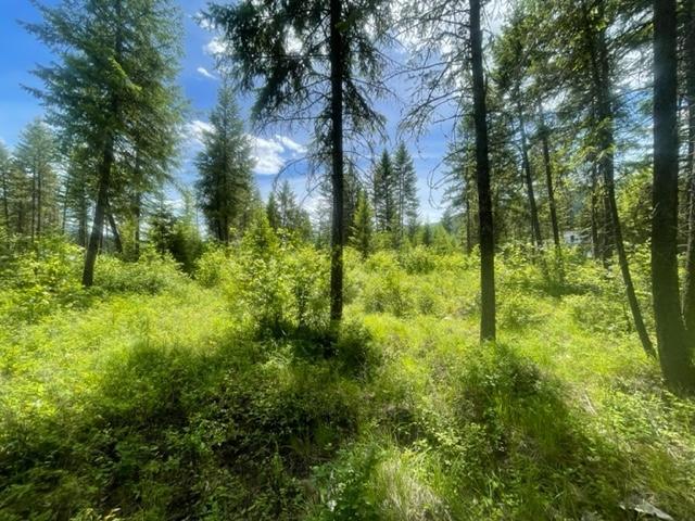 Lot 16 Caitlin Road, Christina Lake, British Columbia  V0H 1E0 - Photo 5 - 2477474