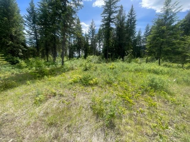 Lot 16 Caitlin Road, Christina Lake, British Columbia  V0H 1E0 - Photo 6 - 2477474