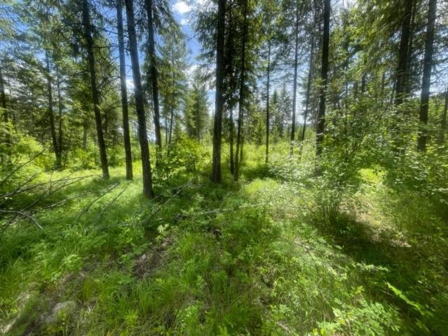 Lot 16 Caitlin Road, Christina Lake, British Columbia  V0H 1E0 - Photo 7 - 2477474
