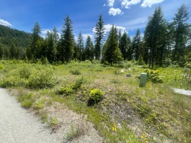 Lot 16 Caitlin Road, Christina Lake, British Columbia  V0H 1E0 - Photo 8 - 2477474