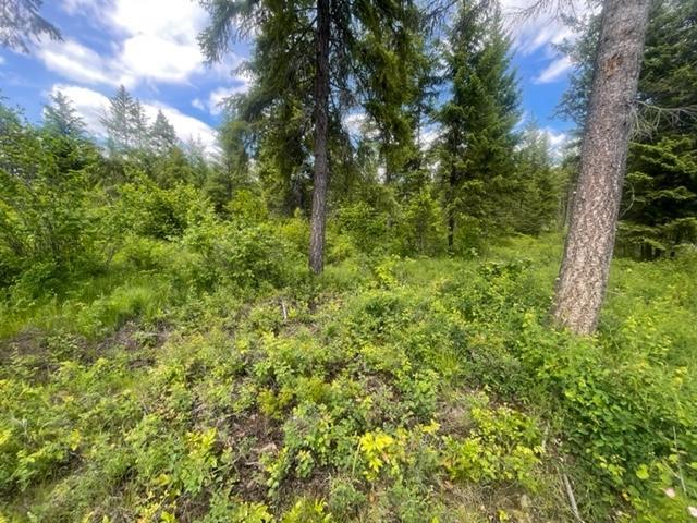 Lot 16 Caitlin Road, Christina Lake, British Columbia  V0H 1E0 - Photo 9 - 2477474