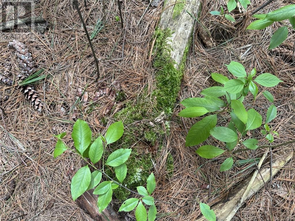 12082 Land O'nod Road, North Augusta, Ontario  K0G 1R0 - Photo 23 - 1391526