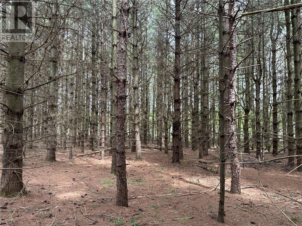 12082 Land O'nod Road, North Augusta, Ontario  K0G 1R0 - Photo 27 - 1391526