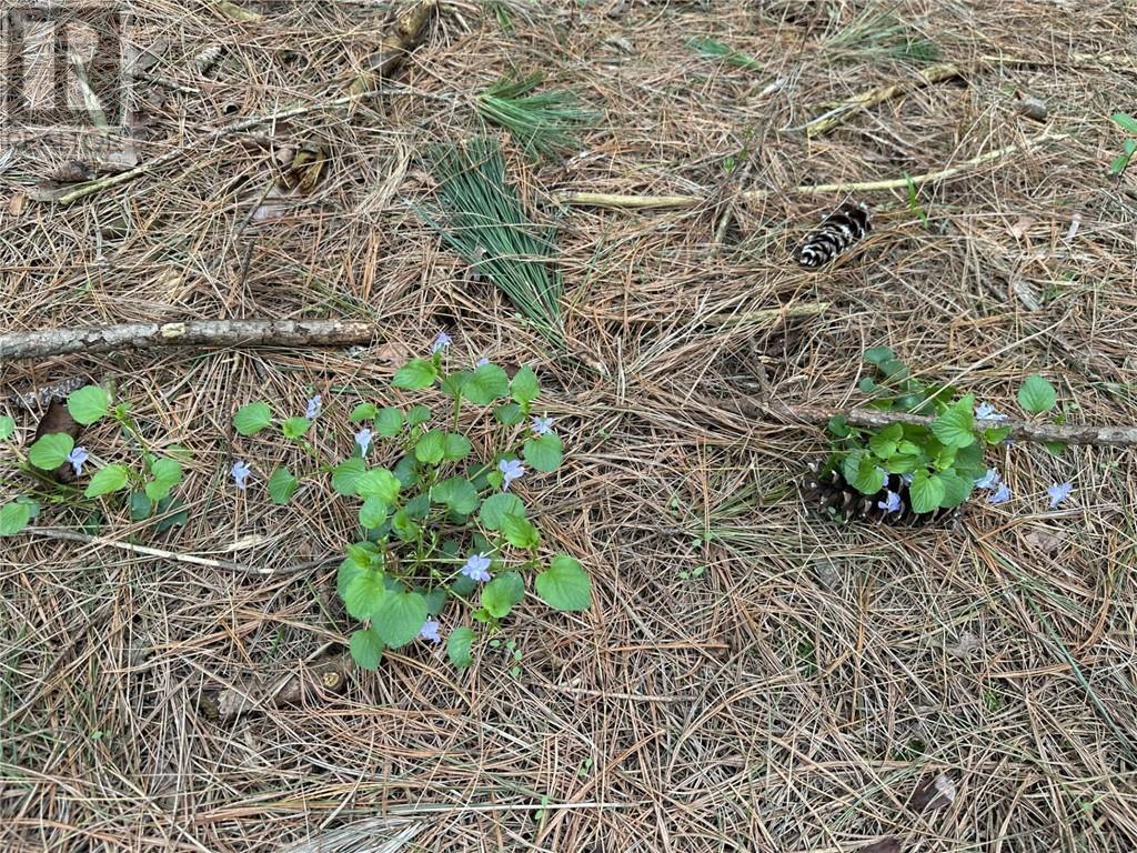 12082 Land O'nod Road, North Augusta, Ontario  K0G 1R0 - Photo 28 - 1391526