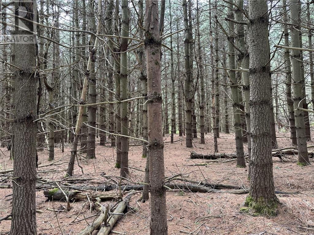 12082 Land O'nod Road, North Augusta, Ontario  K0G 1R0 - Photo 18 - 1391526