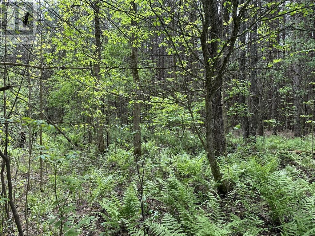 12082 Land O'nod Road, North Augusta, Ontario  K0G 1R0 - Photo 25 - 1391526