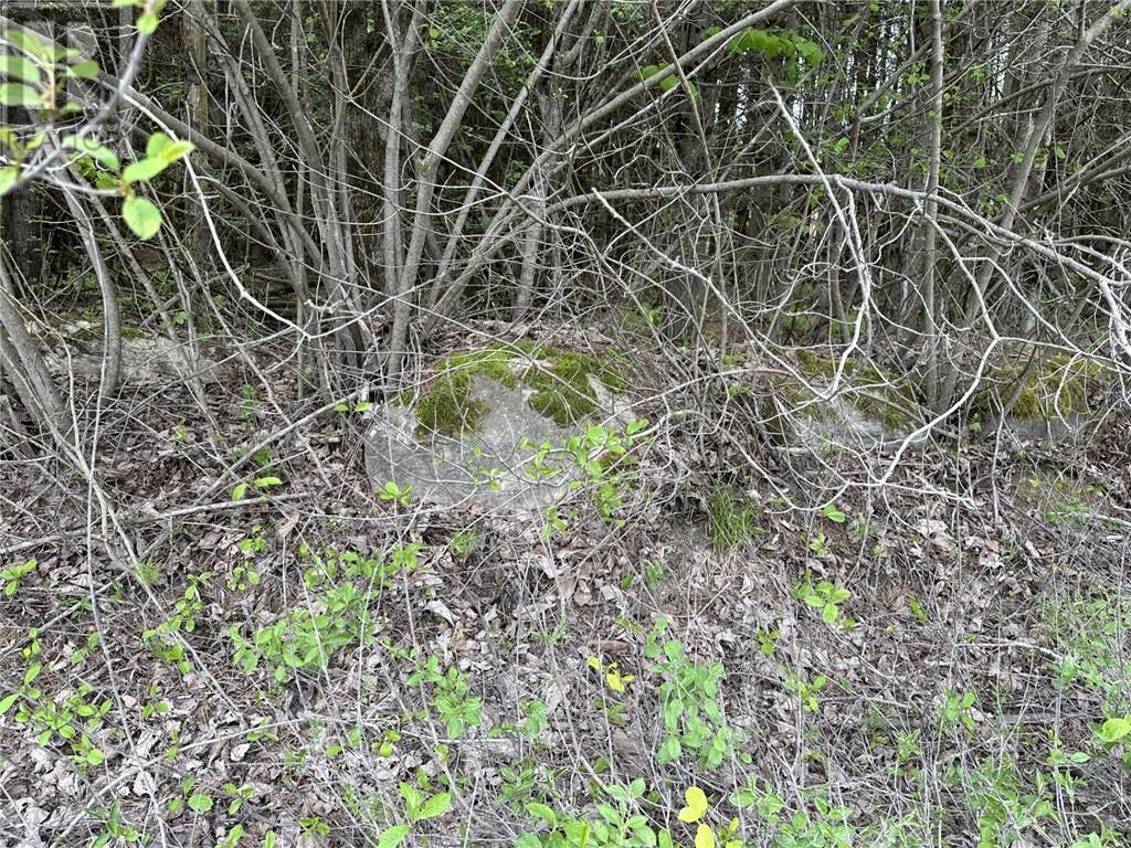 12082 Land O'nod Road, North Augusta, Ontario  K0G 1R0 - Photo 29 - 1391526