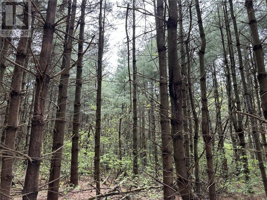 12082 Land O'nod Road, North Augusta, Ontario  K0G 1R0 - Photo 20 - 1391526