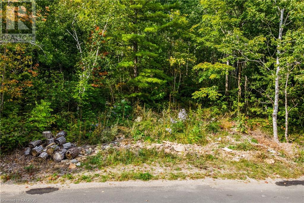 1132 Dyers Bay Road, Miller Lake, Ontario  N0H 1Z0 - Photo 6 - 40600182