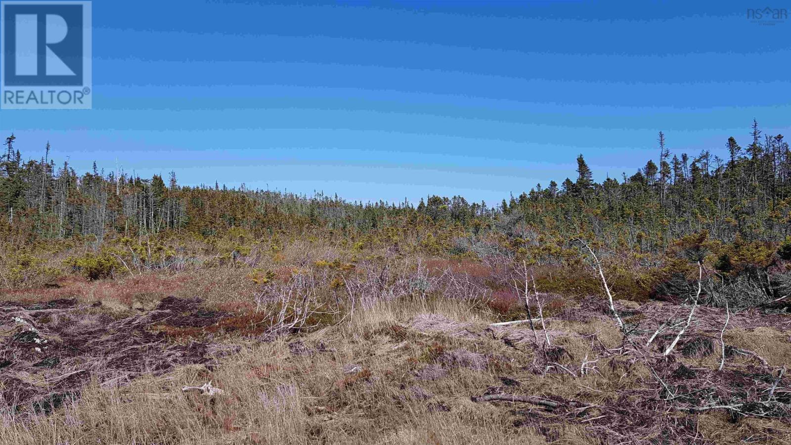 Lot 20-1 No 7 Highway, Ecum Secum, Nova Scotia  B0H 2G0 - Photo 3 - 202411792