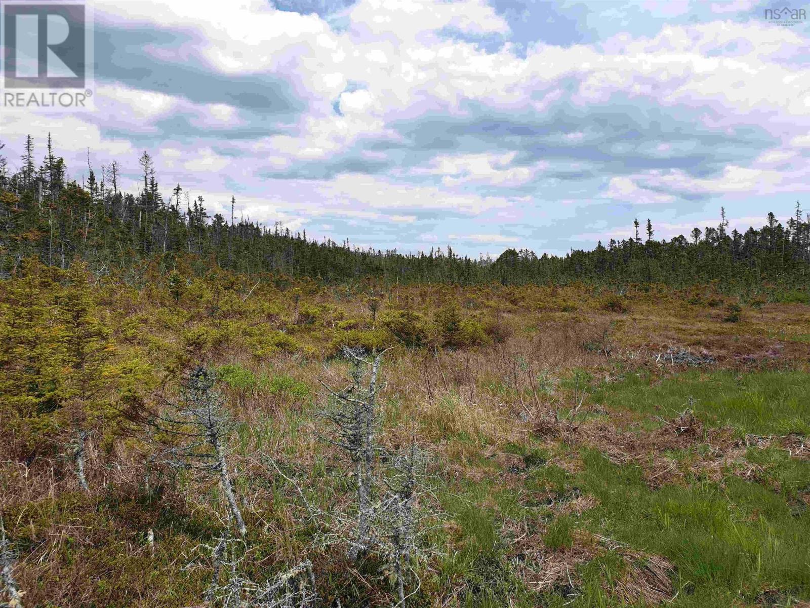 Lot 20-1 No 7 Highway, Ecum Secum, Nova Scotia  B0H 2G0 - Photo 9 - 202411792