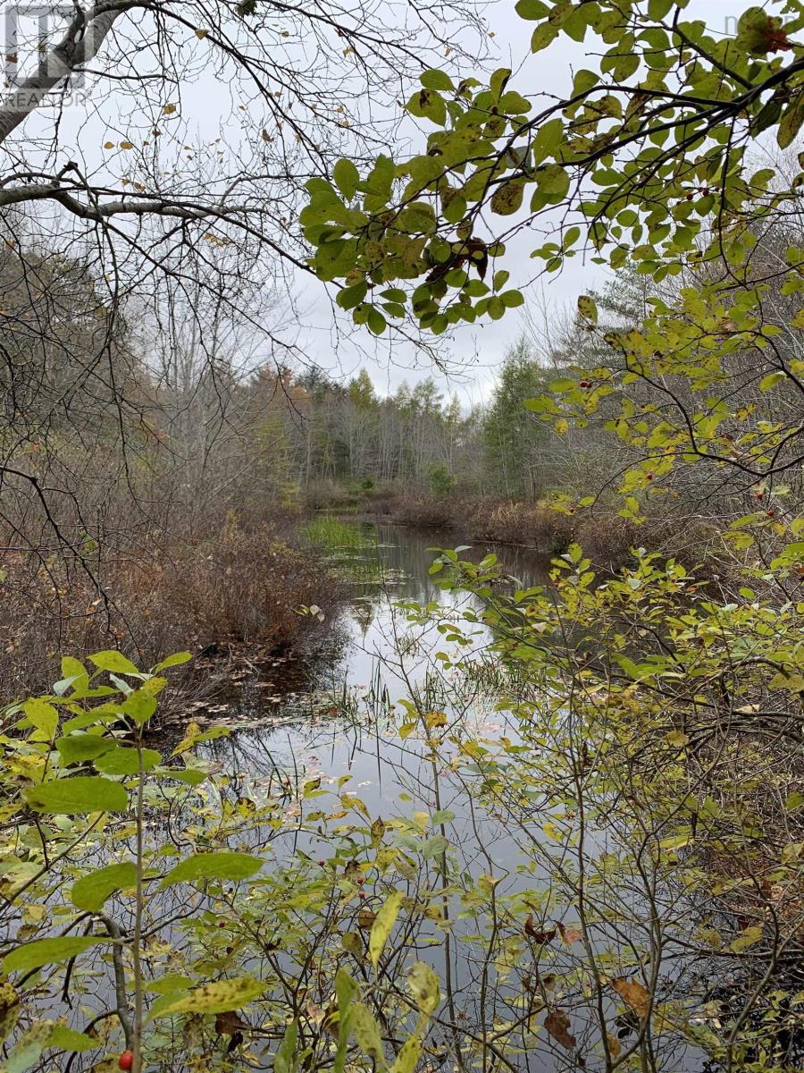 15 Cottage Lane, Windsor Junction, Nova Scotia  B2T 1G7 - Photo 27 - 202412770