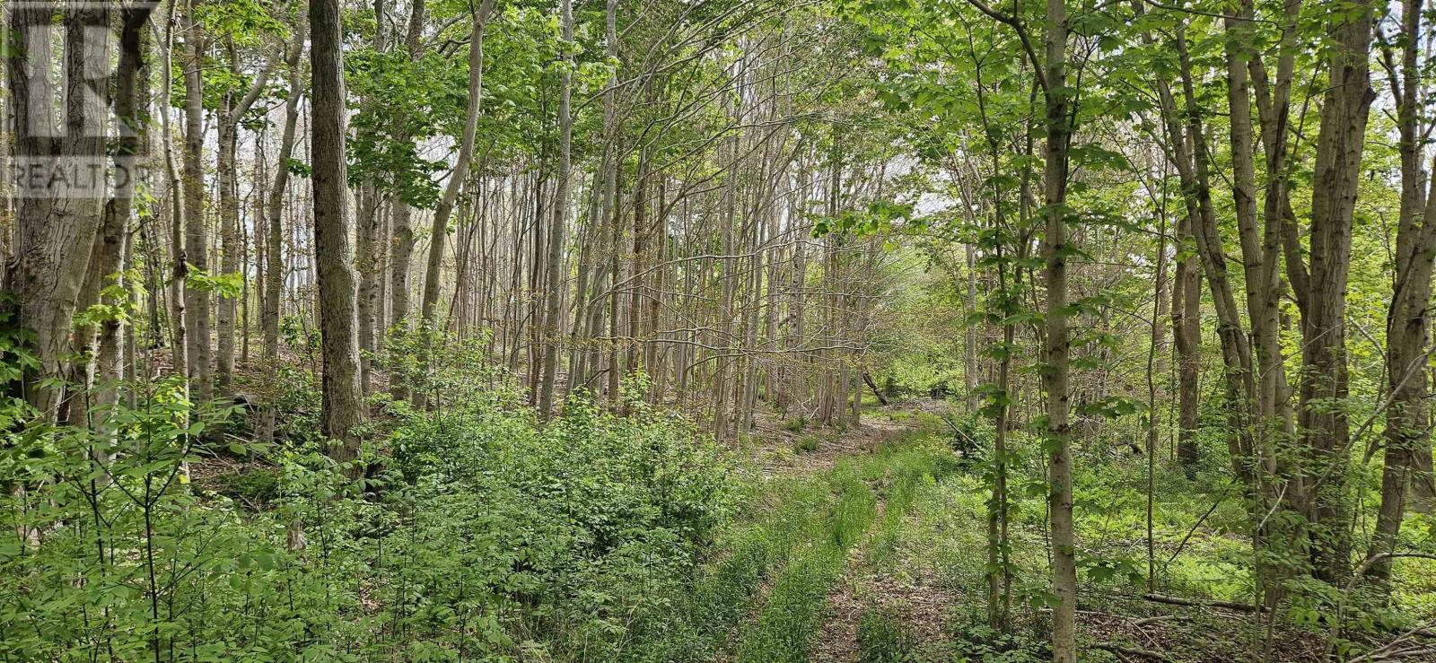 Riverside Road, New Edinburgh, Nova Scotia  B0W 3T0 - Photo 1 - 202412788